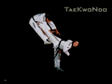 tae kwondo